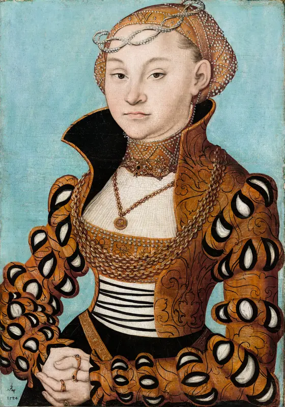 Audioguía de Museo De Bellas Artes De Lyon