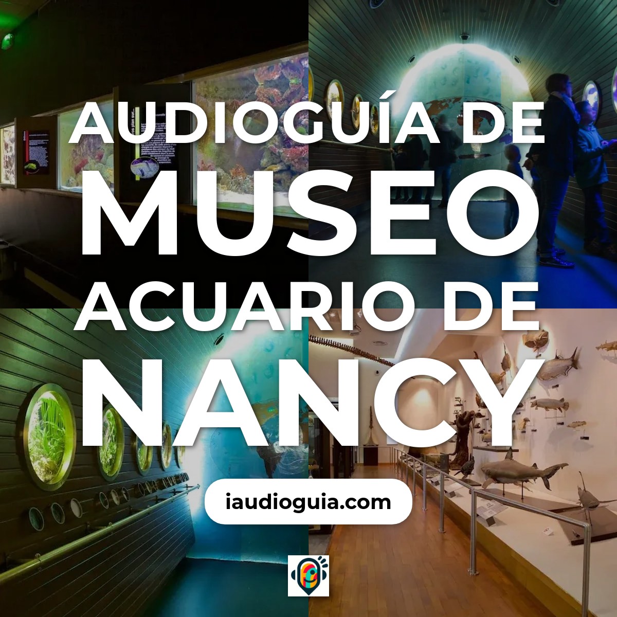 Audioguía de Museum Aquarium Nancy