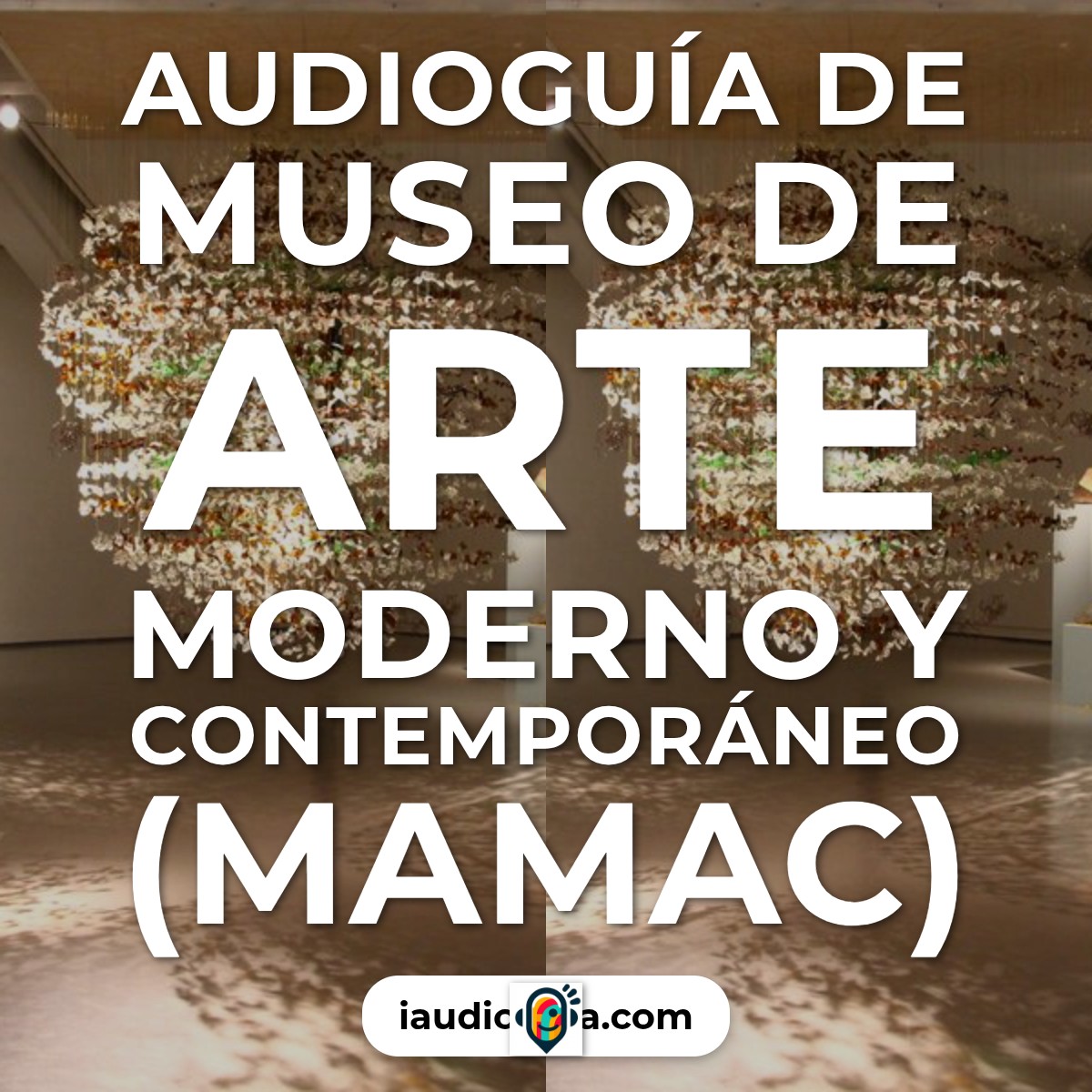 Audioguía de Niza