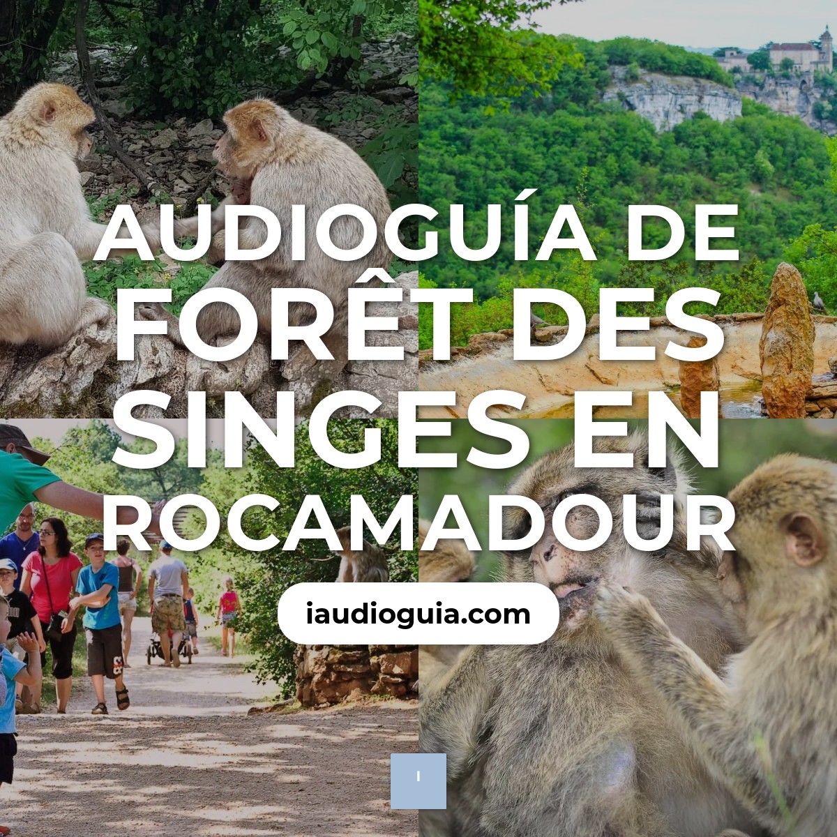 Audioguía de Foret Des Singes