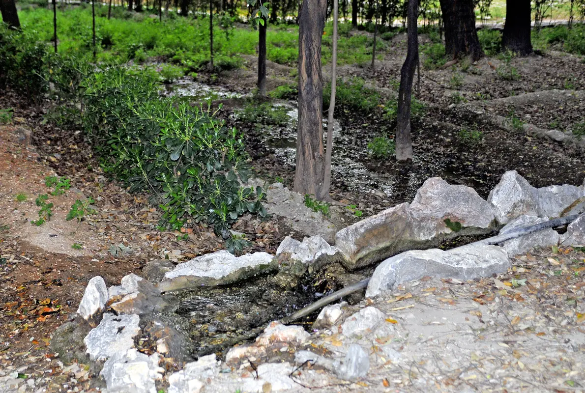 Audioguía de El Jardin Nacional De Atenas