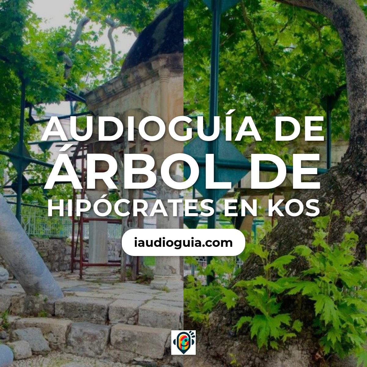 Audioguía de Arbol Hipocrates