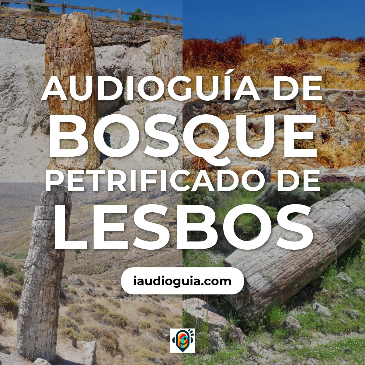 Audioguía de Petrified Forest