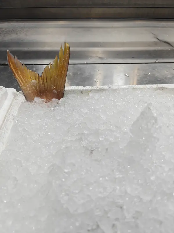 Audioguía de Thessaloniki