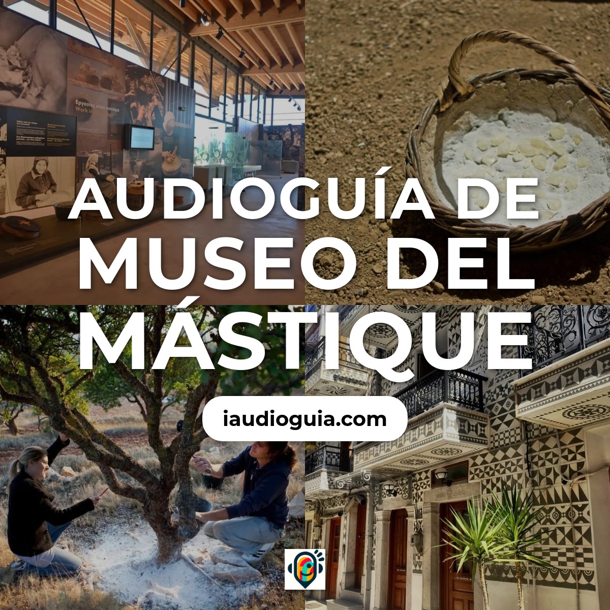 Museo del Mástique
