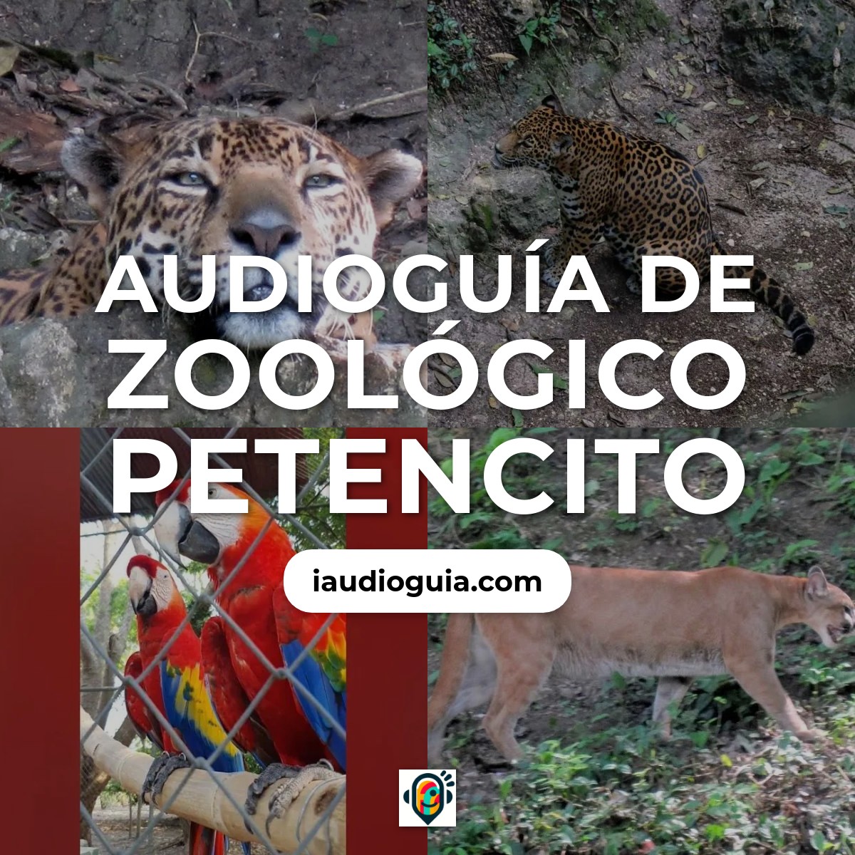 Audioguía de Zoologico Petencito