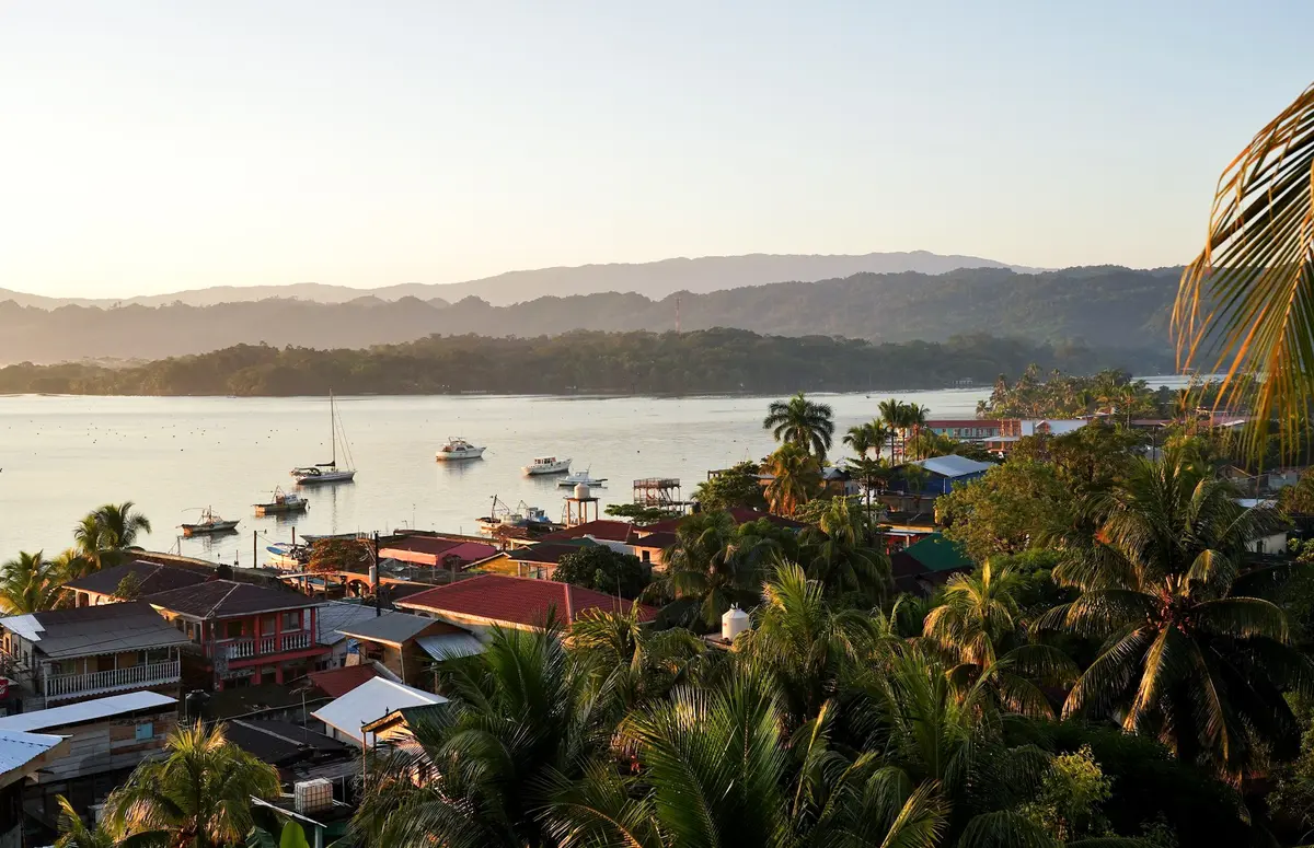 Audioguía de Livingston