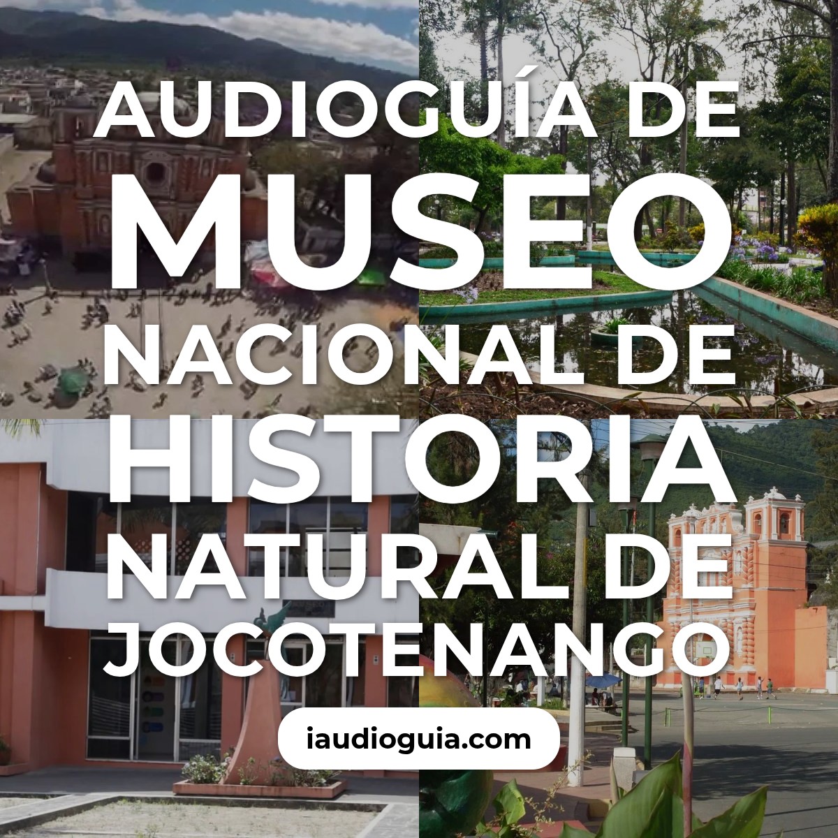 Audioguía de Museo Nacional Historia Natural