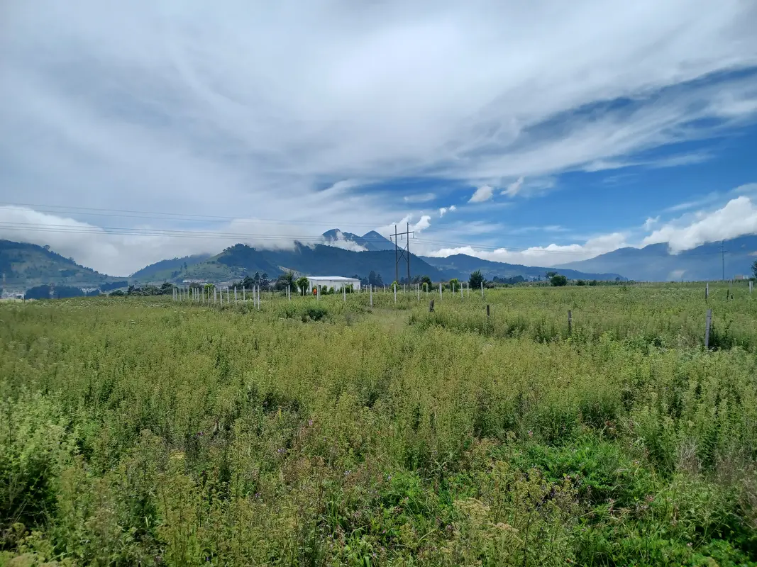 Audioguía de Cerro Baul