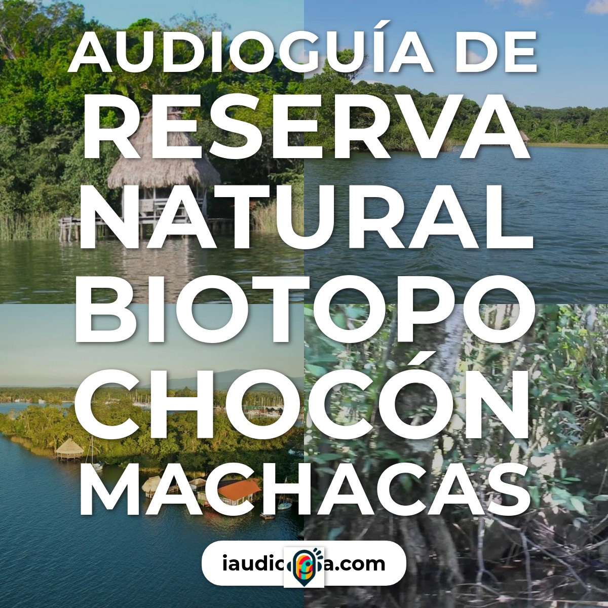 Audioguía de Reserva Natural Biotopo Chocon Machacas