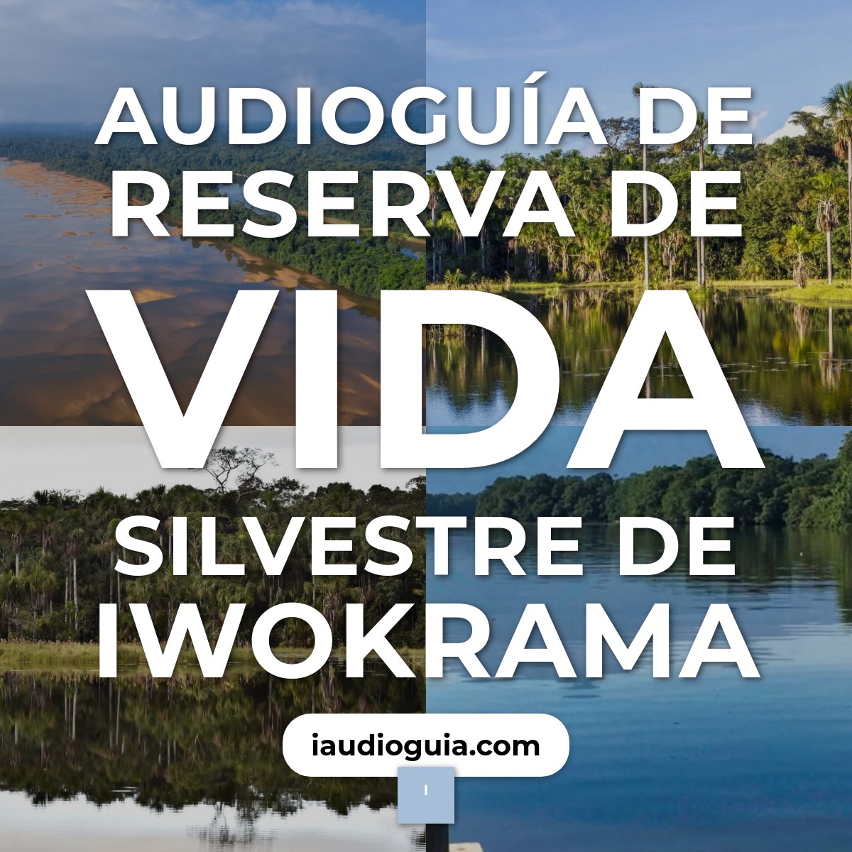 Audioguía de Reserva Vida Silvestre Iwokrama