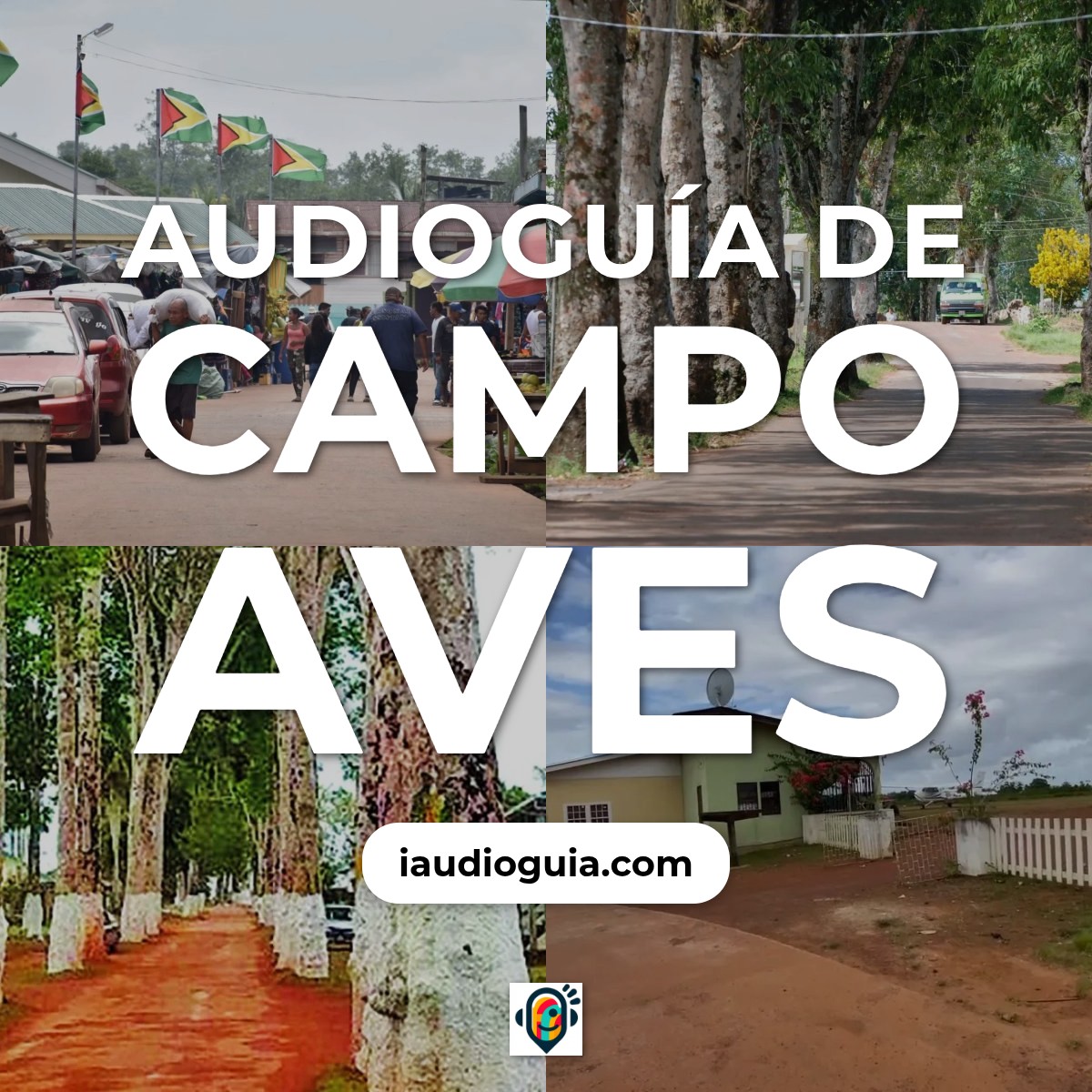 Audioguía de Campo Aves