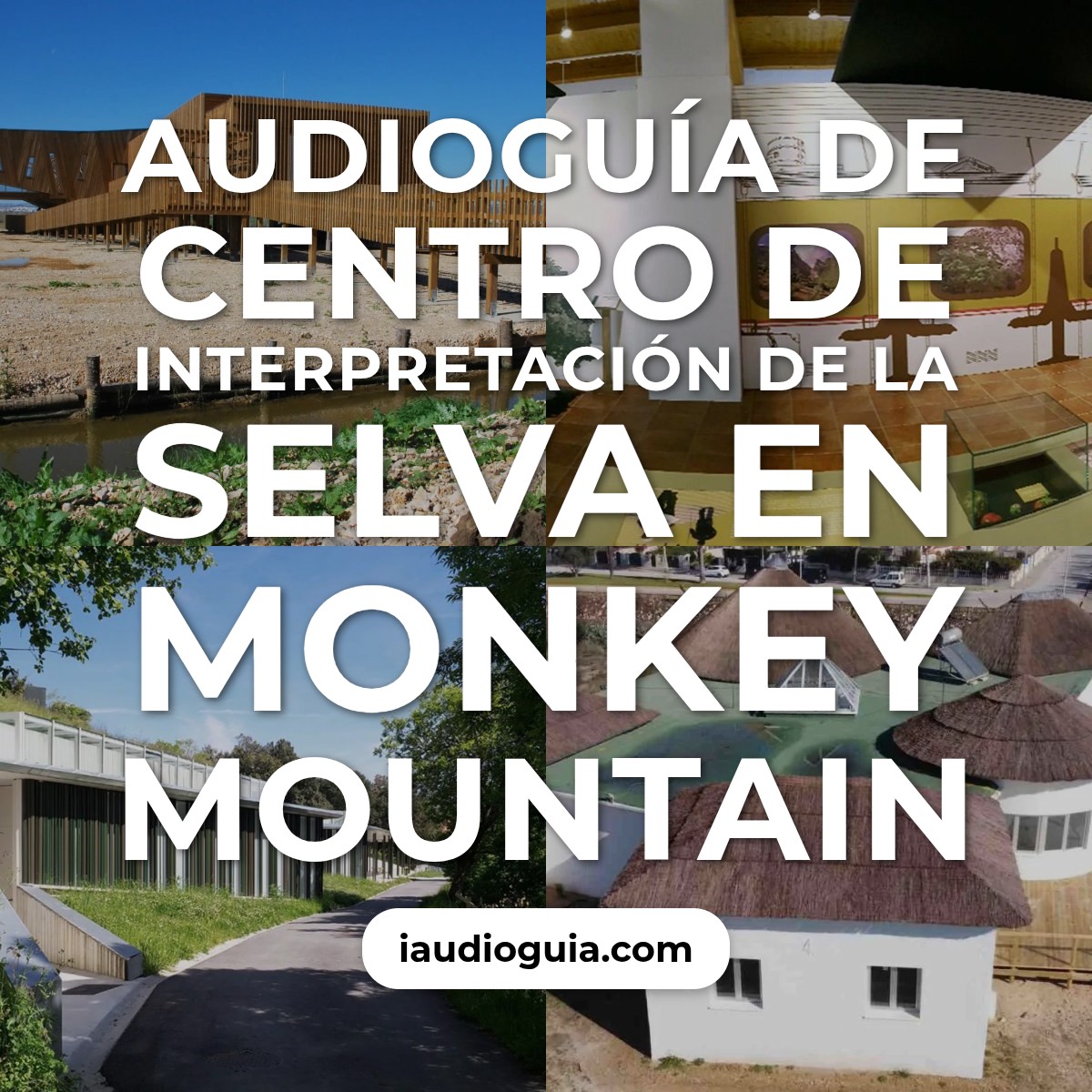 Audioguía de Centro Interpretacion Selva