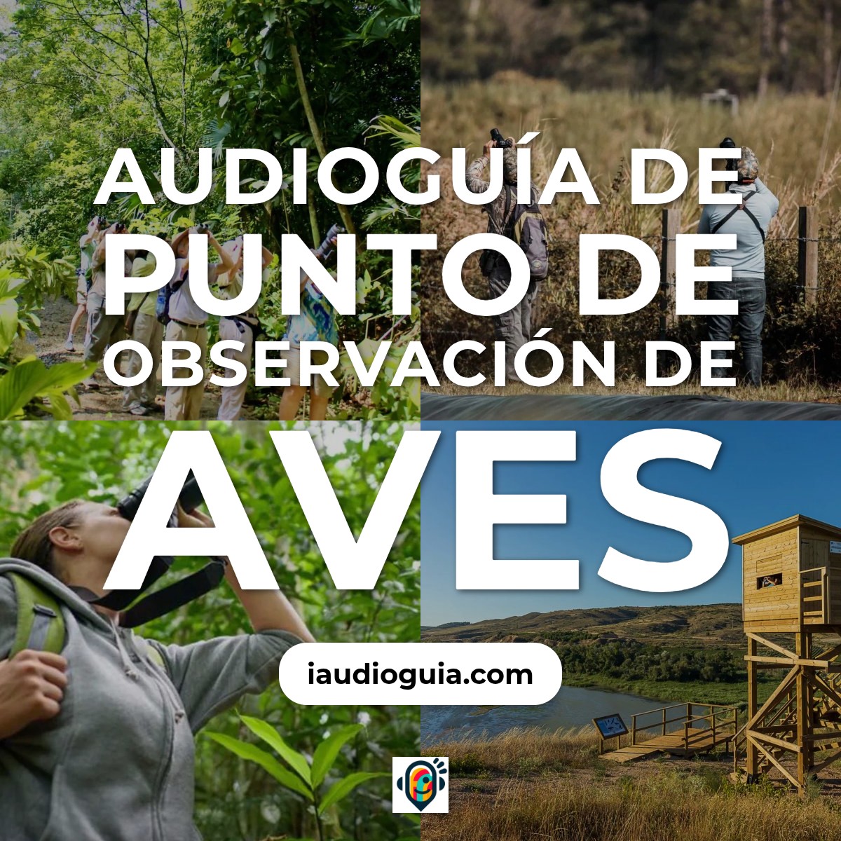 Audioguía de Punto Observacion Aves