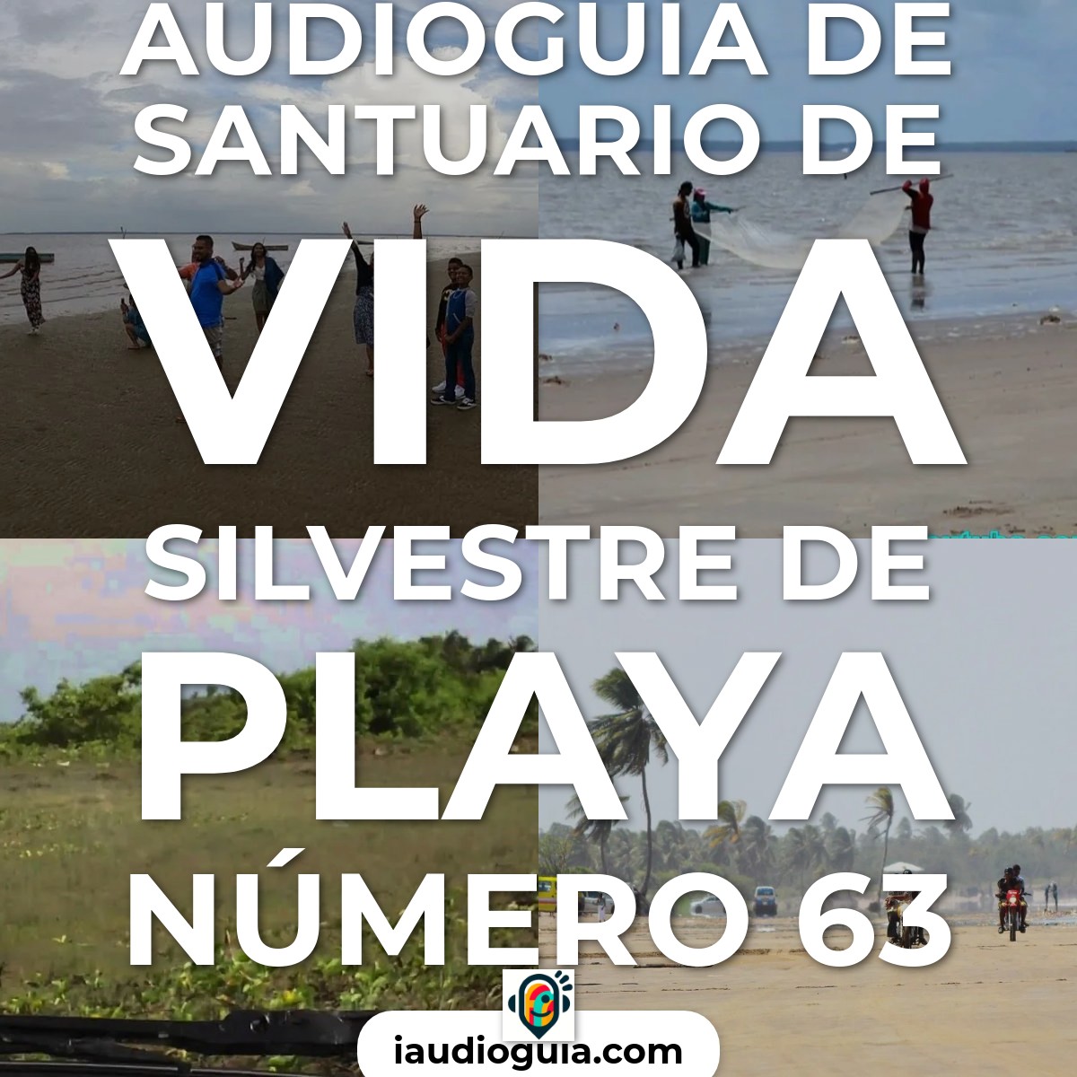 Audioguía de Santuario Vida Silvestre No 63 Beach