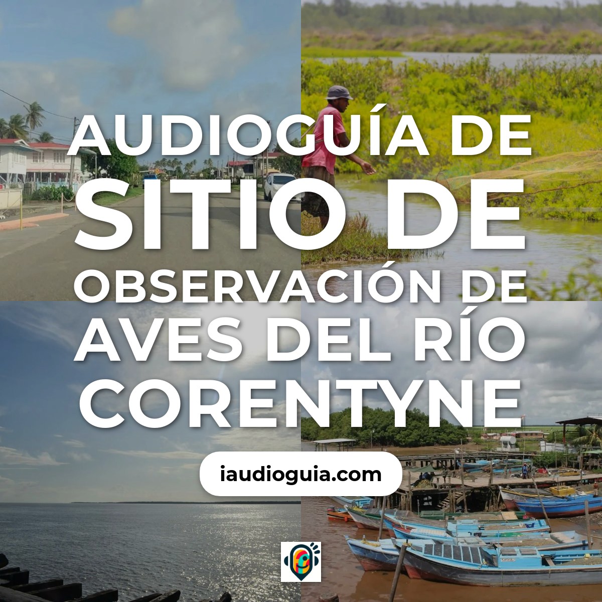 Audioguía de Corentyne River Bird Watching Site