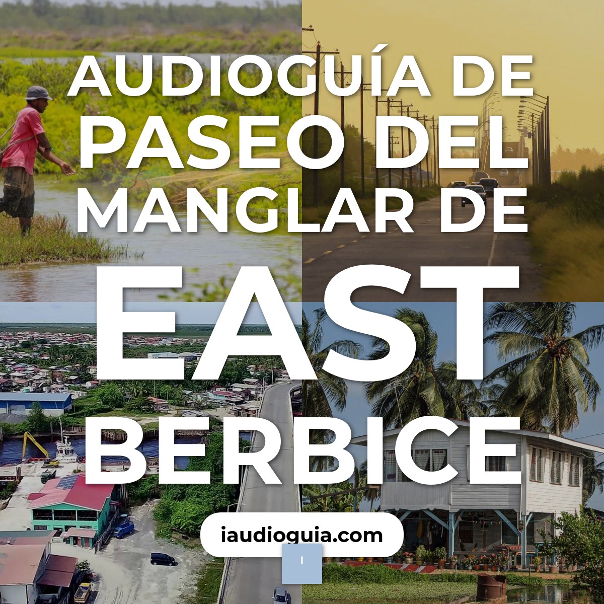 Audioguía de East Berbice Mangrove Walk