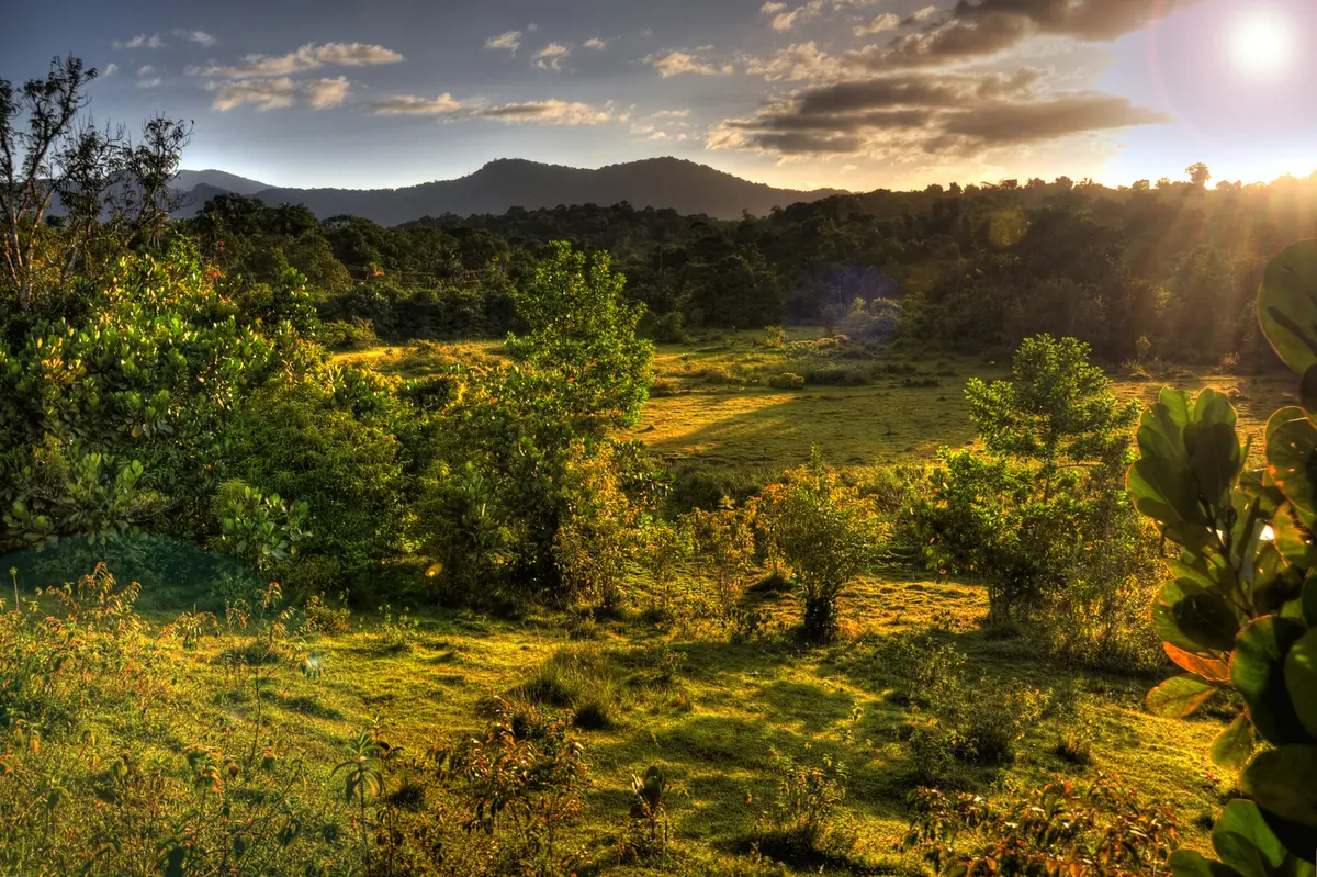 Audioguía de Mahdia