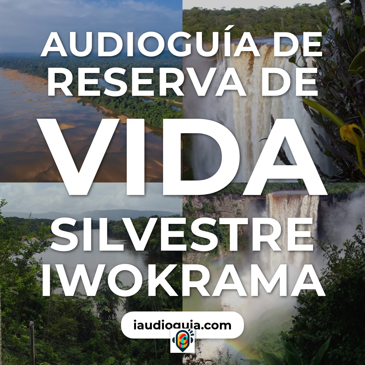 Reserva de Vida Silvestre Iwokrama