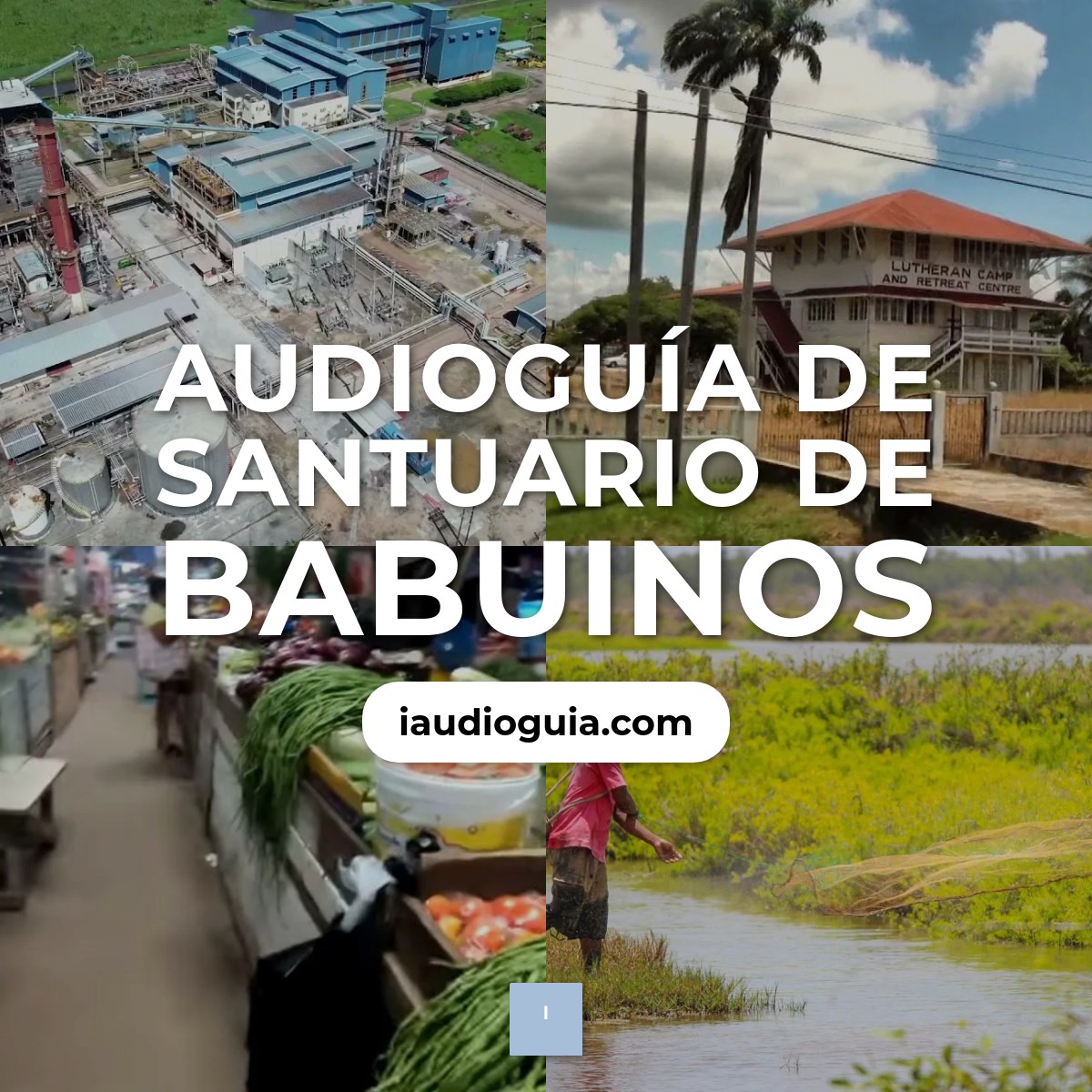 Audioguía de Baboon Sanctuary