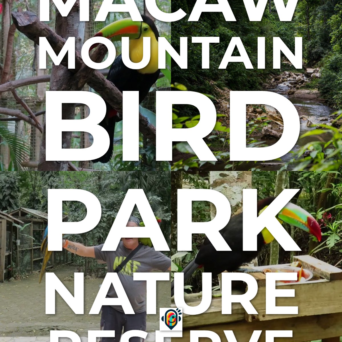 Audioguía de Macaw Mountain Bird Park Nature Reserve