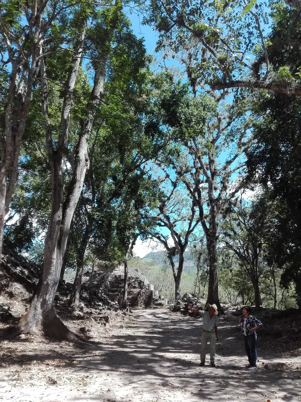Ruinas de Copán Maya