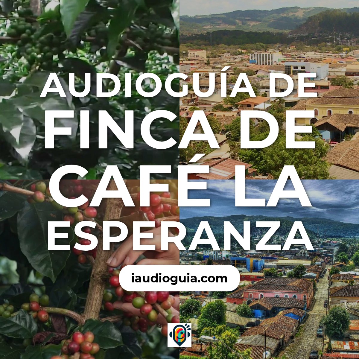 Audioguía de Finca Cafe