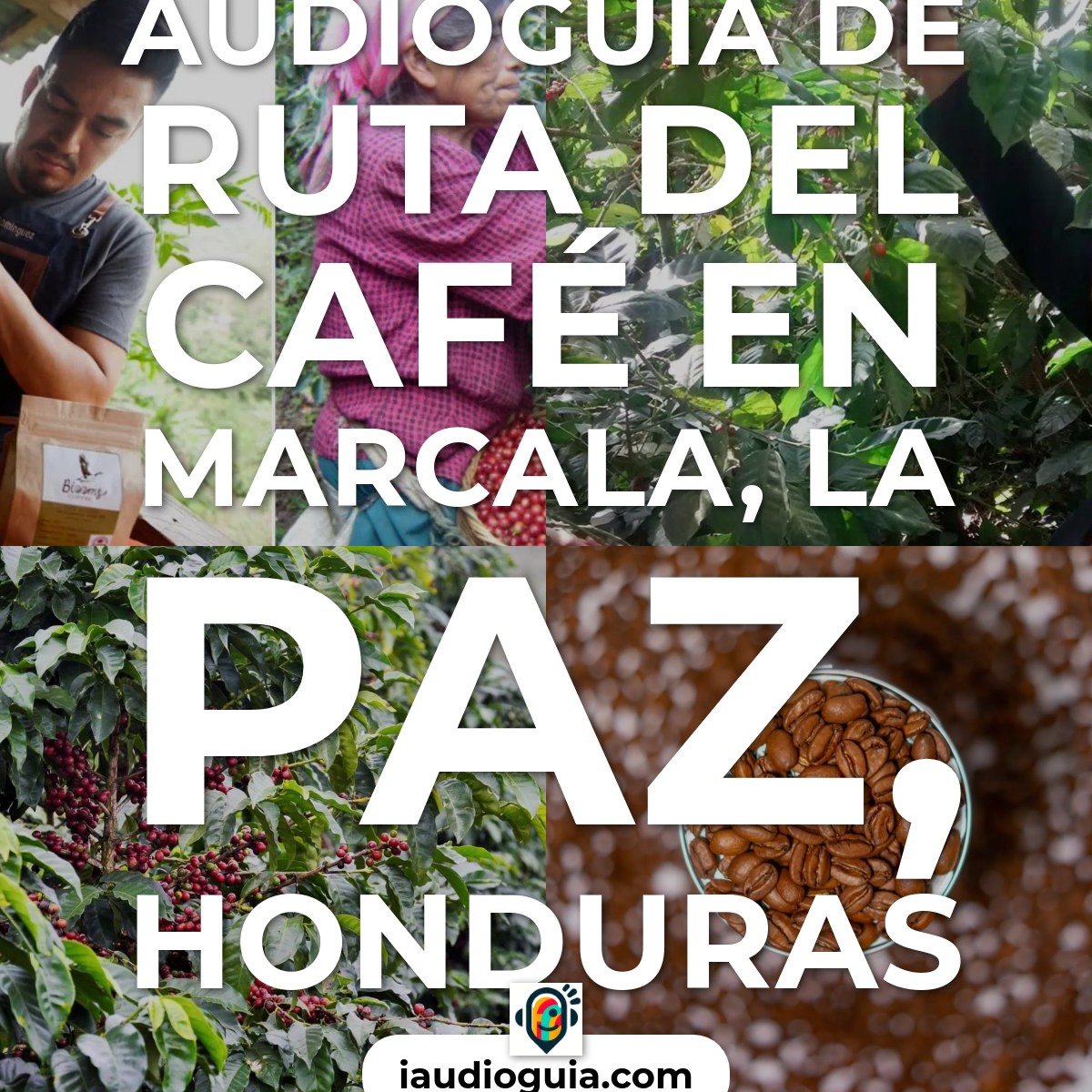 Audioguía de Ruta Del Cafe