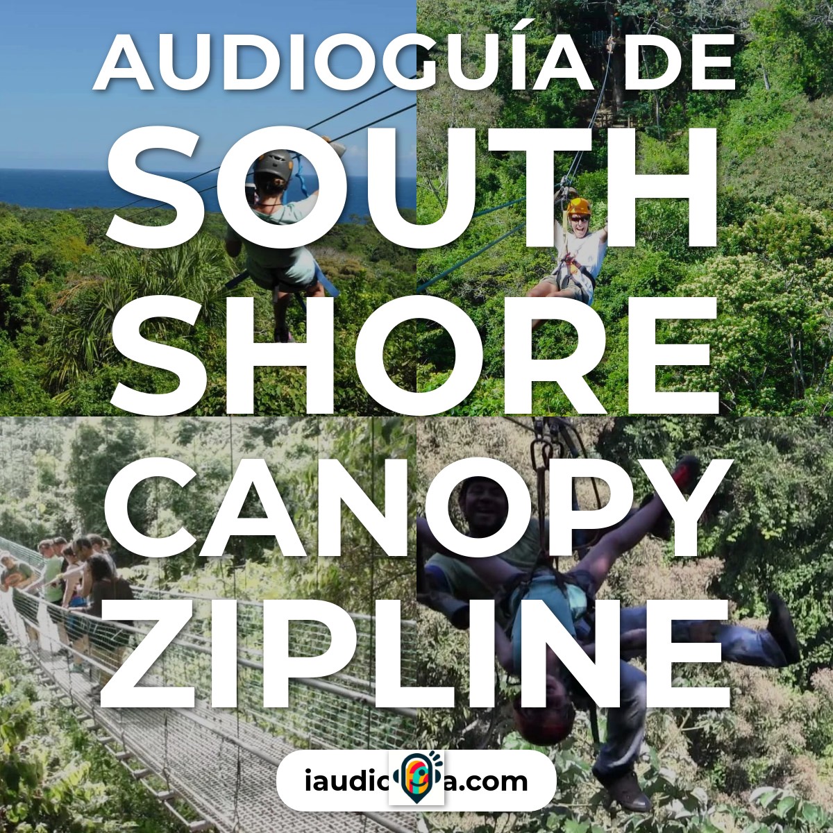 Audioguía de South Shore Canopy Zipline