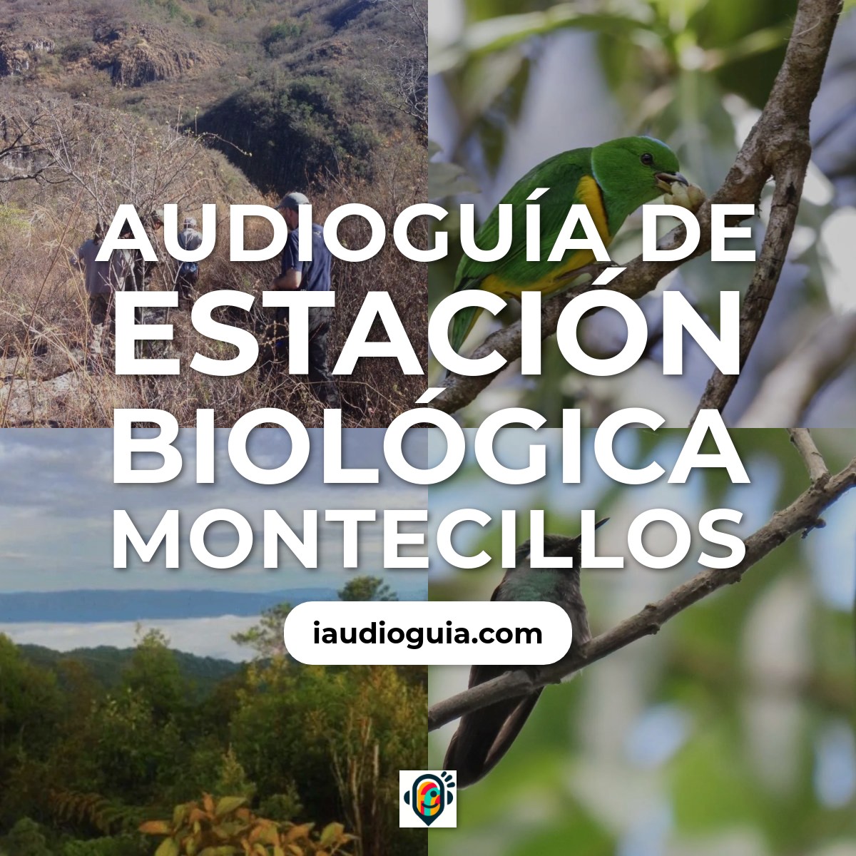 Audioguía de Estacion Biologica Montecillos