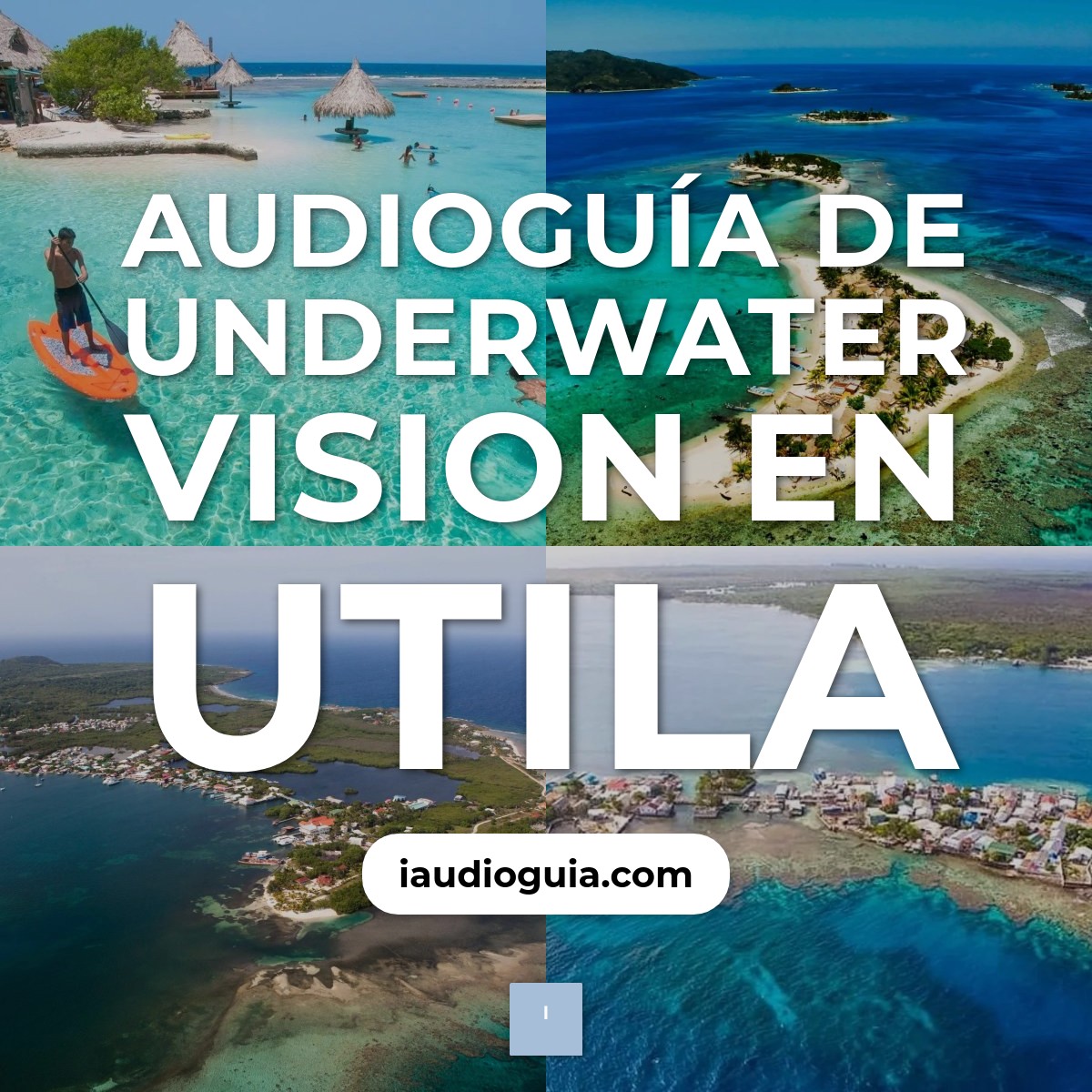 Audioguía de Underwater Vision