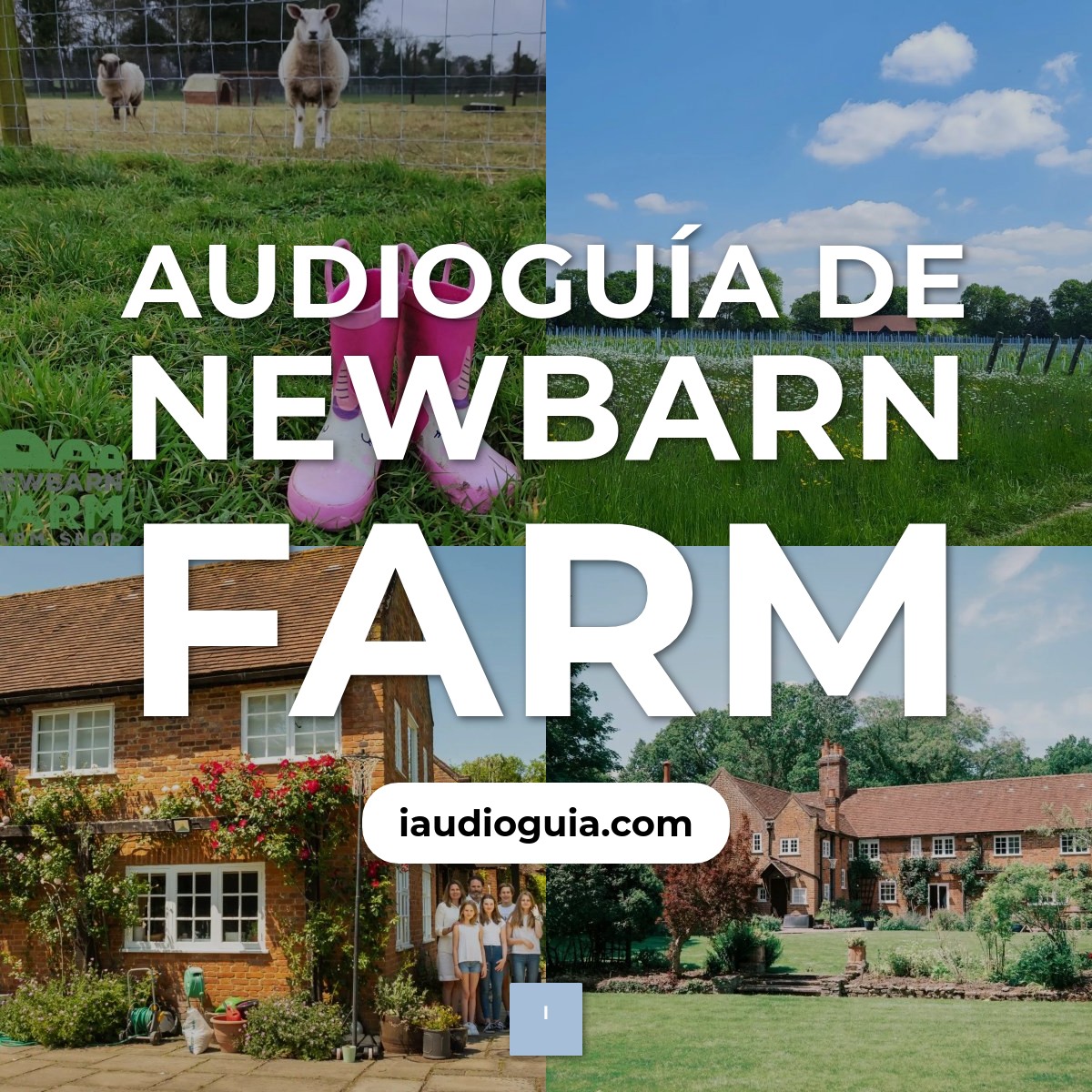 Audioguía de Newbarn Farm