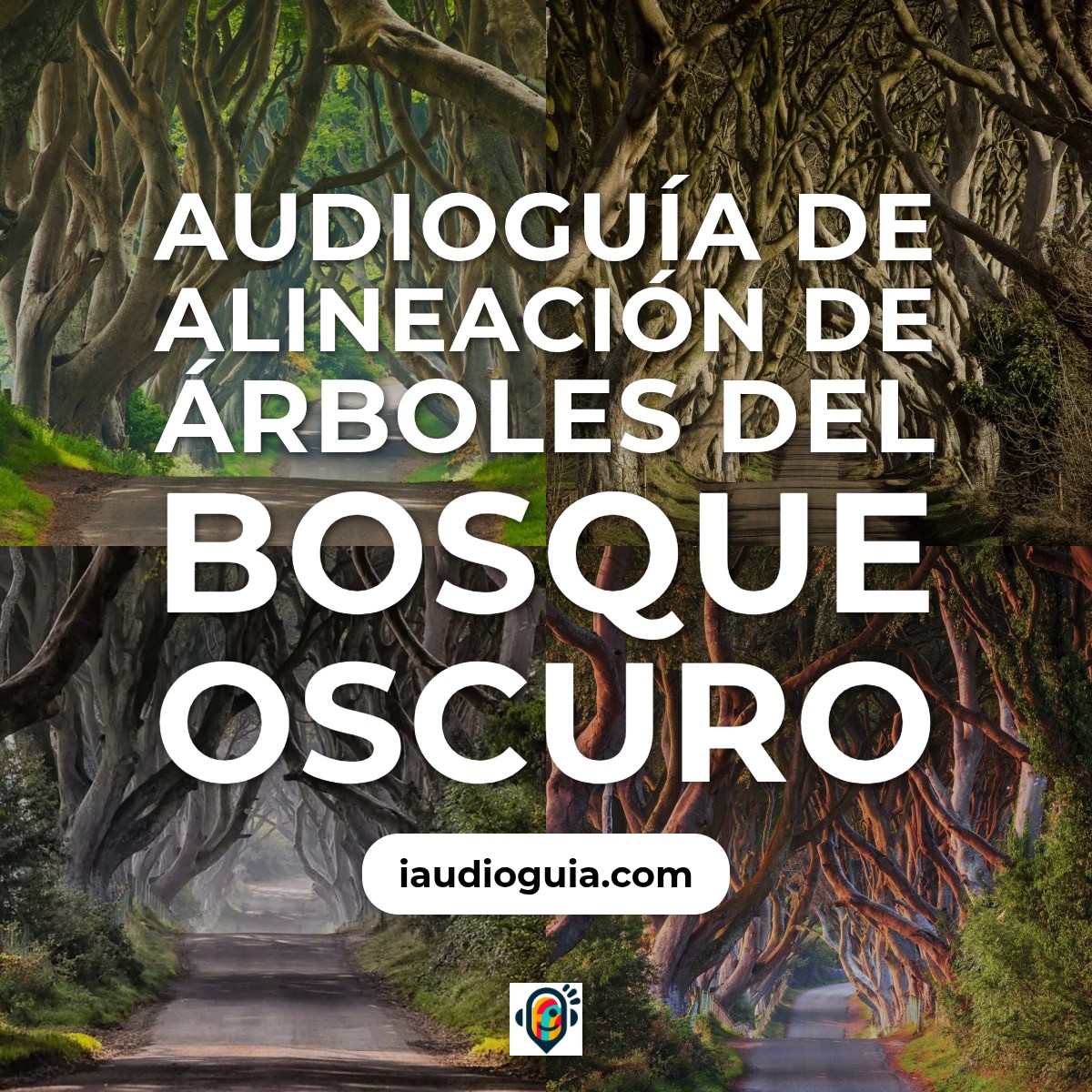 Alineación de Árboles del Bosque Oscuro