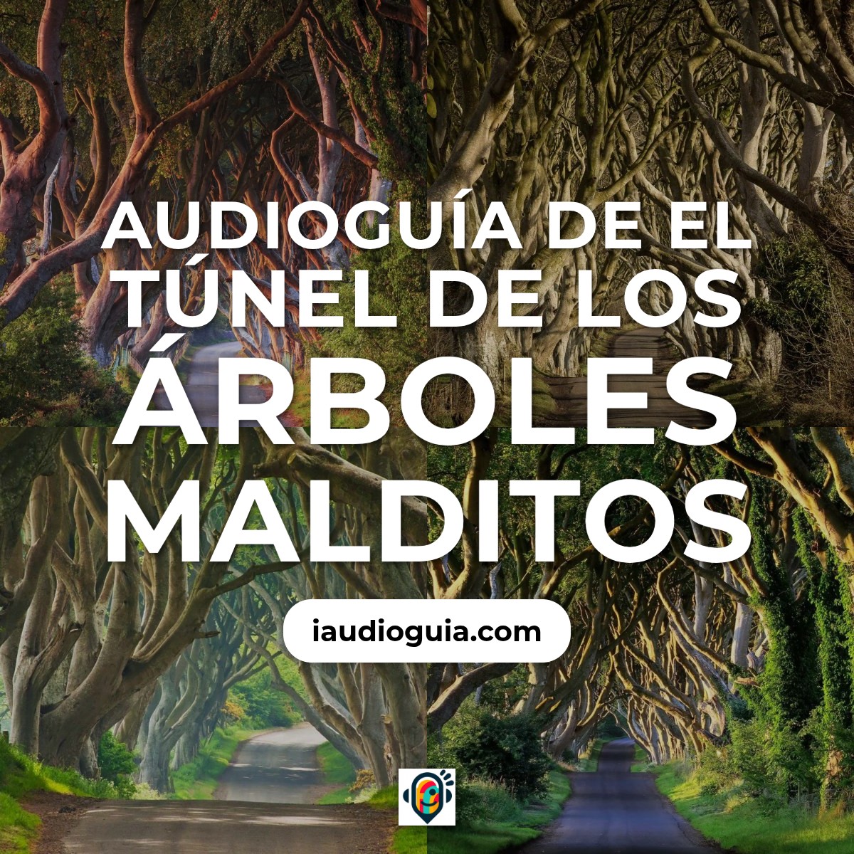 El Túnel de los Árboles Malditos