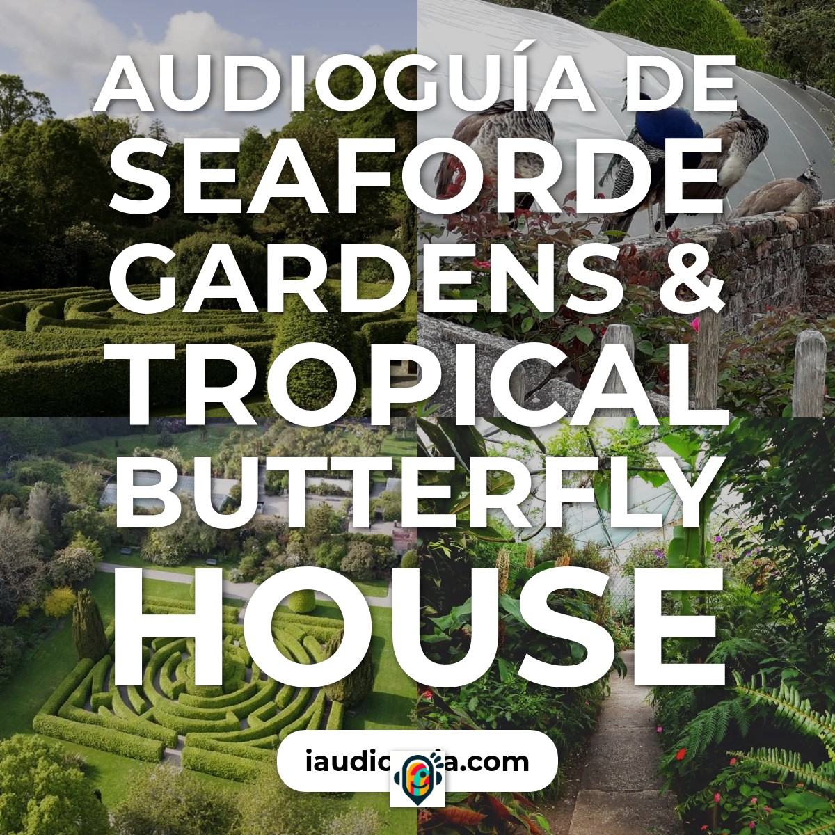 Audioguía de Seaforde Gardens Tropical Butterfly House