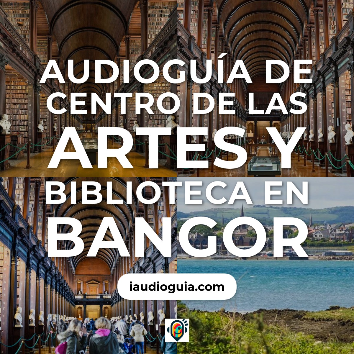 Audioguía de Centro Artes Biblioteca