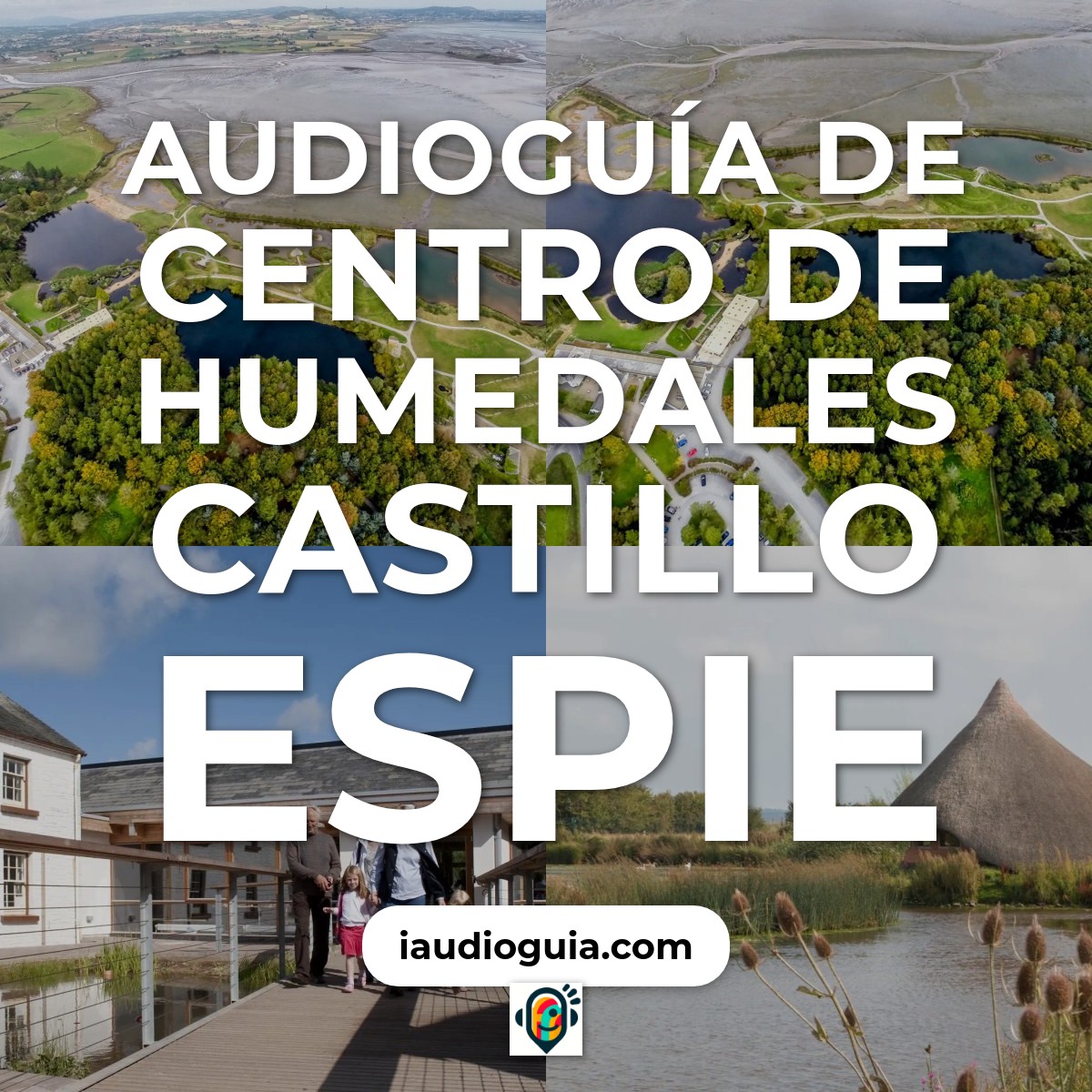 Audioguía de Castle Espie Wetland Centre