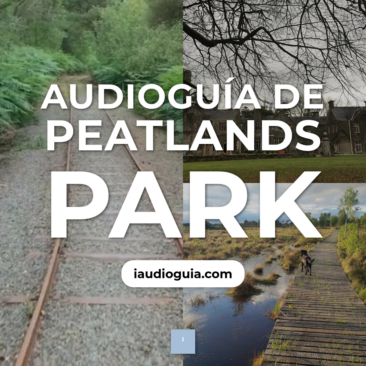 Audioguía de Peatlands Park