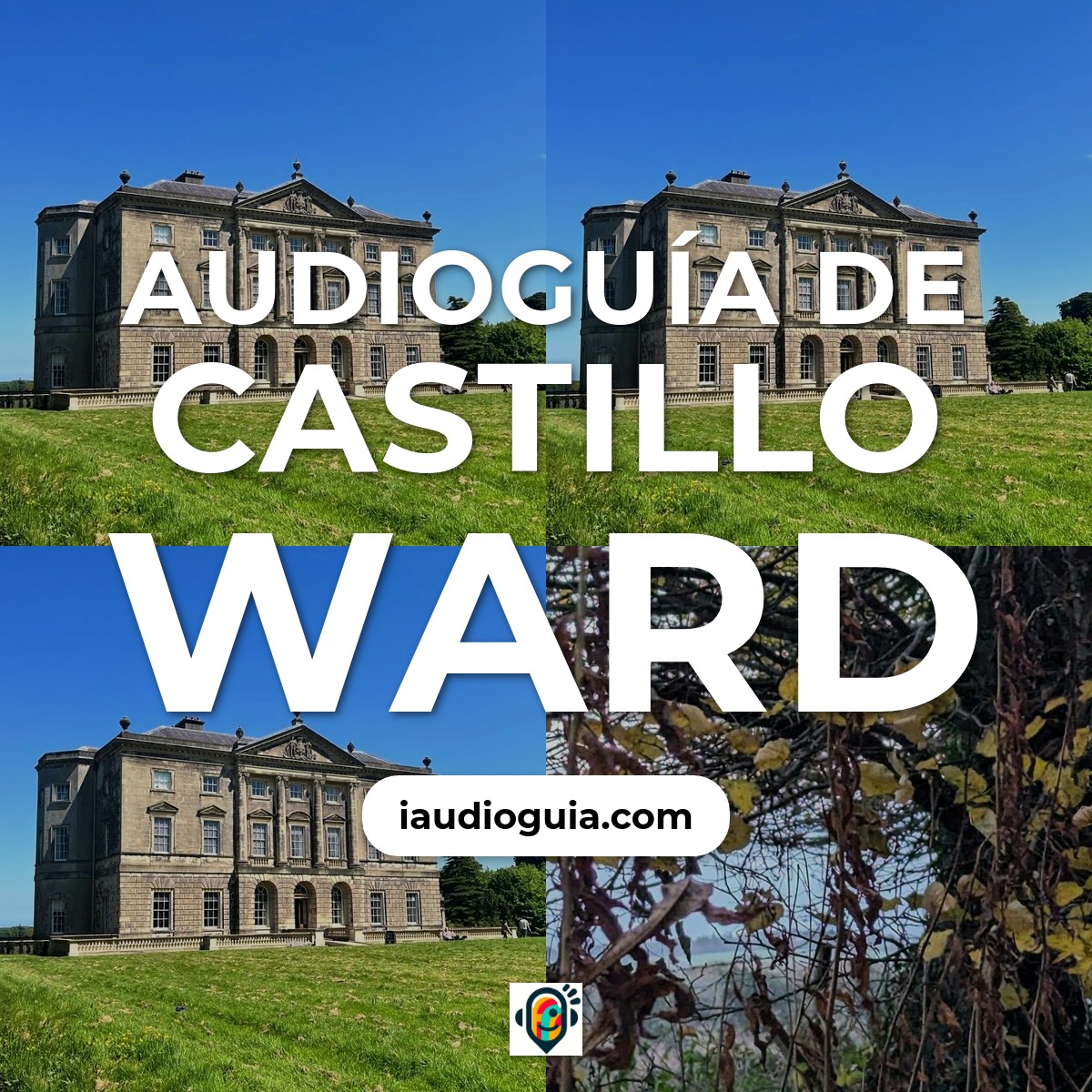 Castillo Ward