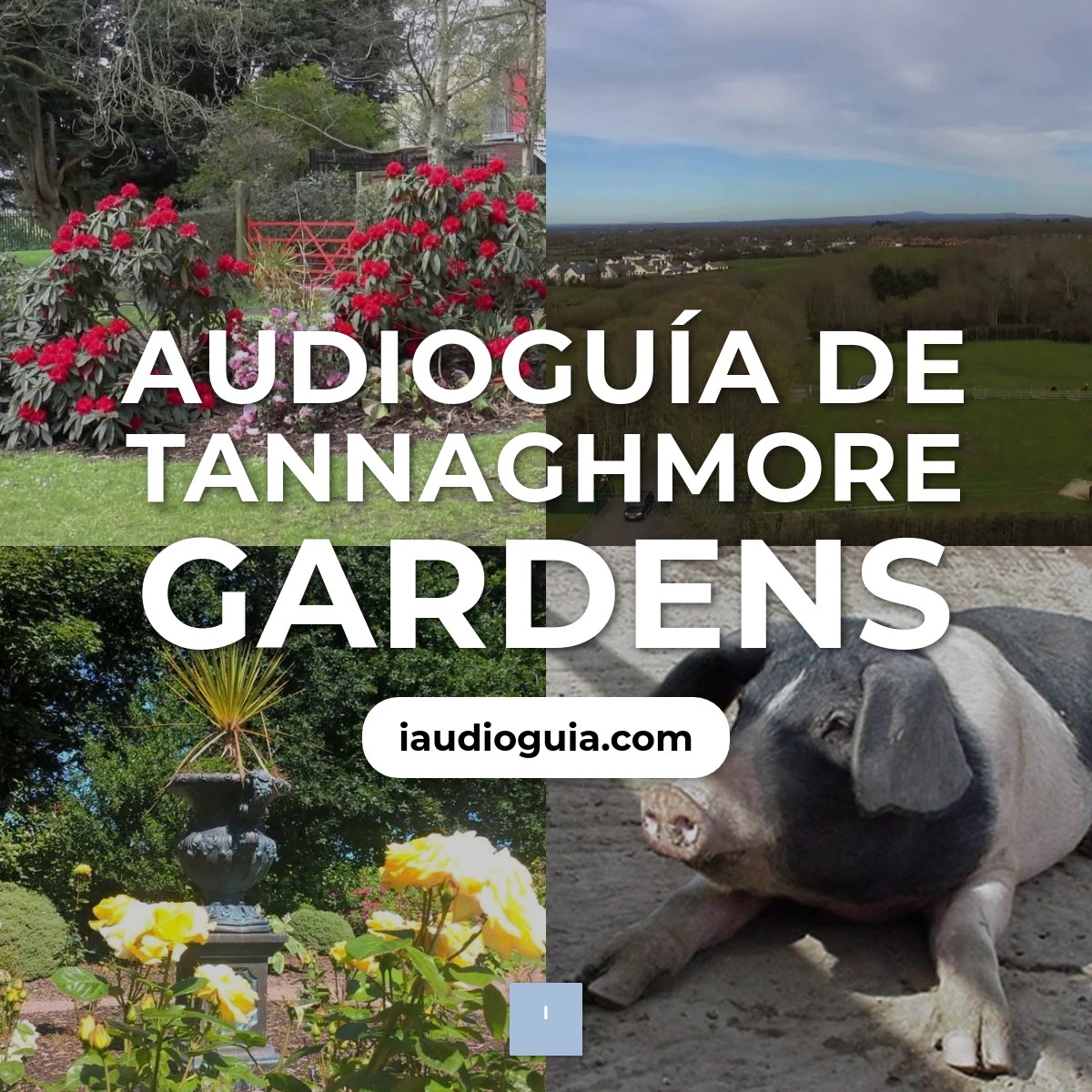 Audioguía de Tannaghmore Gardens