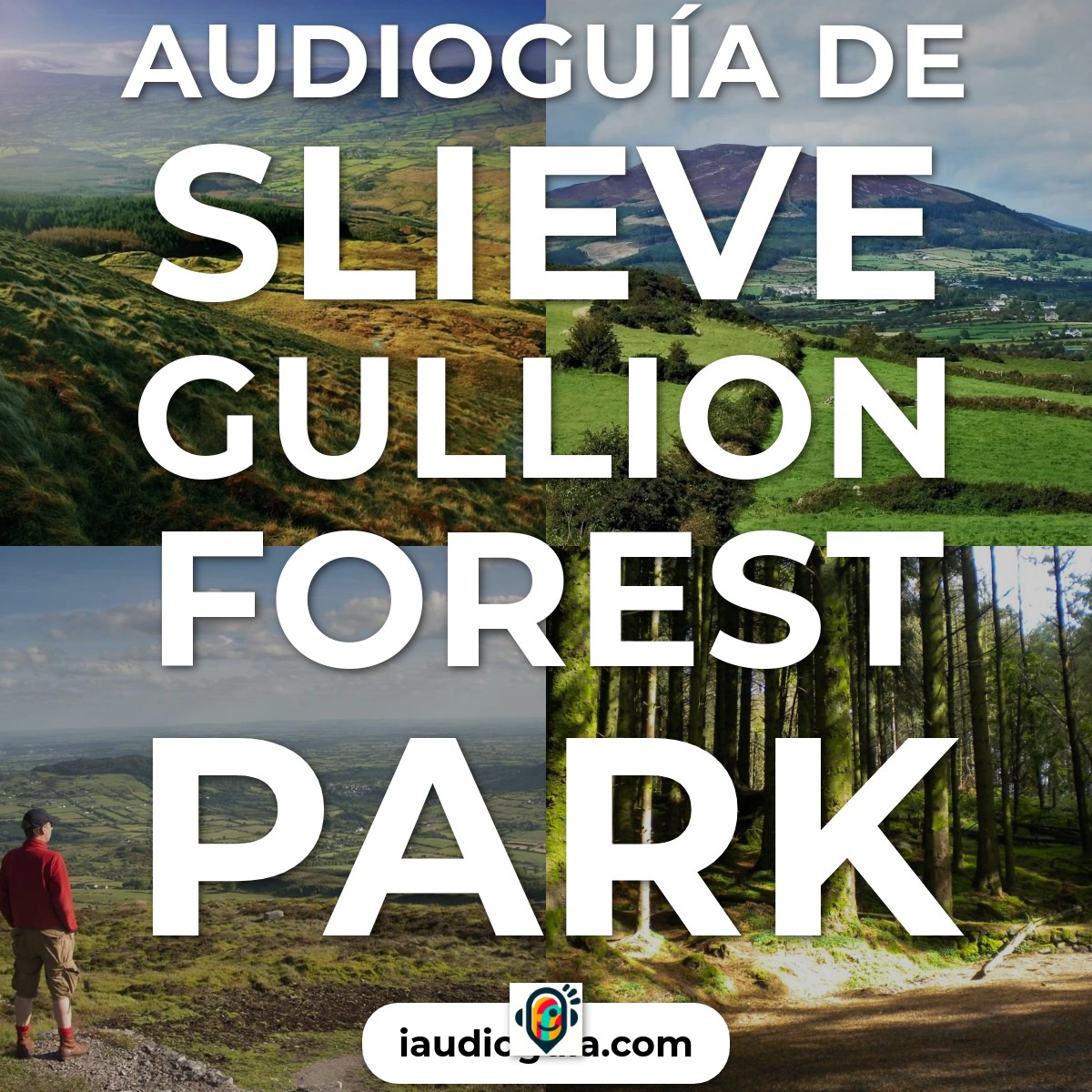 Audioguía de Slieve Gullion Forest Park