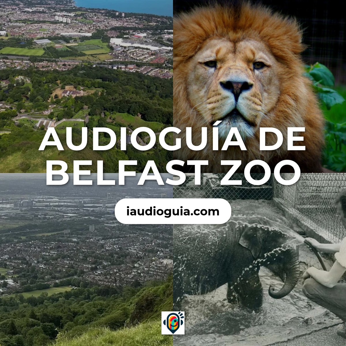 Audioguía de Newtownabbey