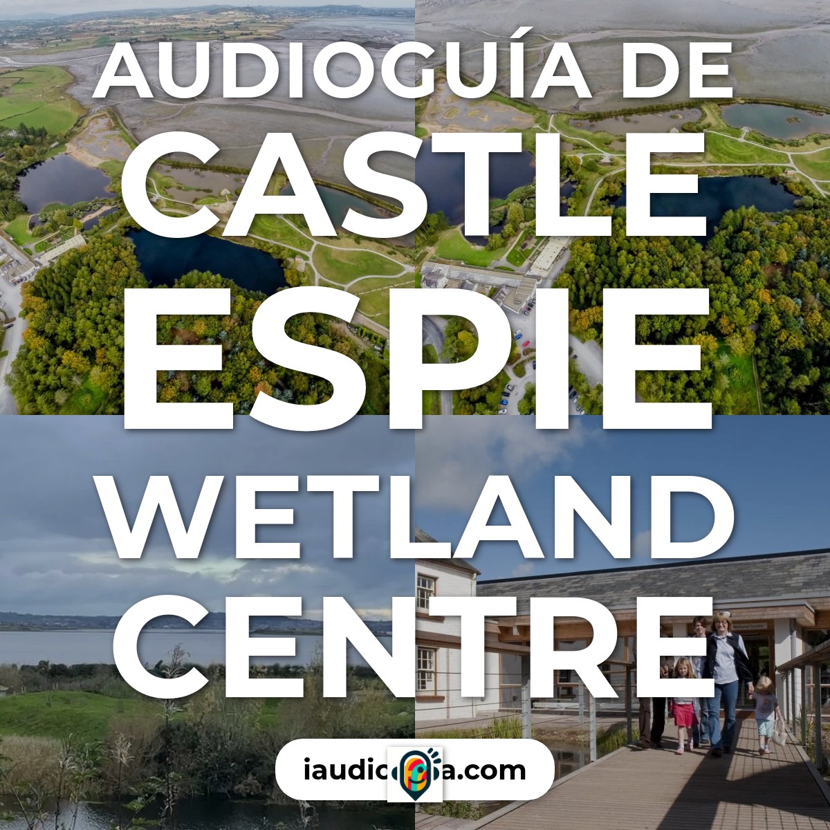 Audioguía de Castle Espie Wetland Centre