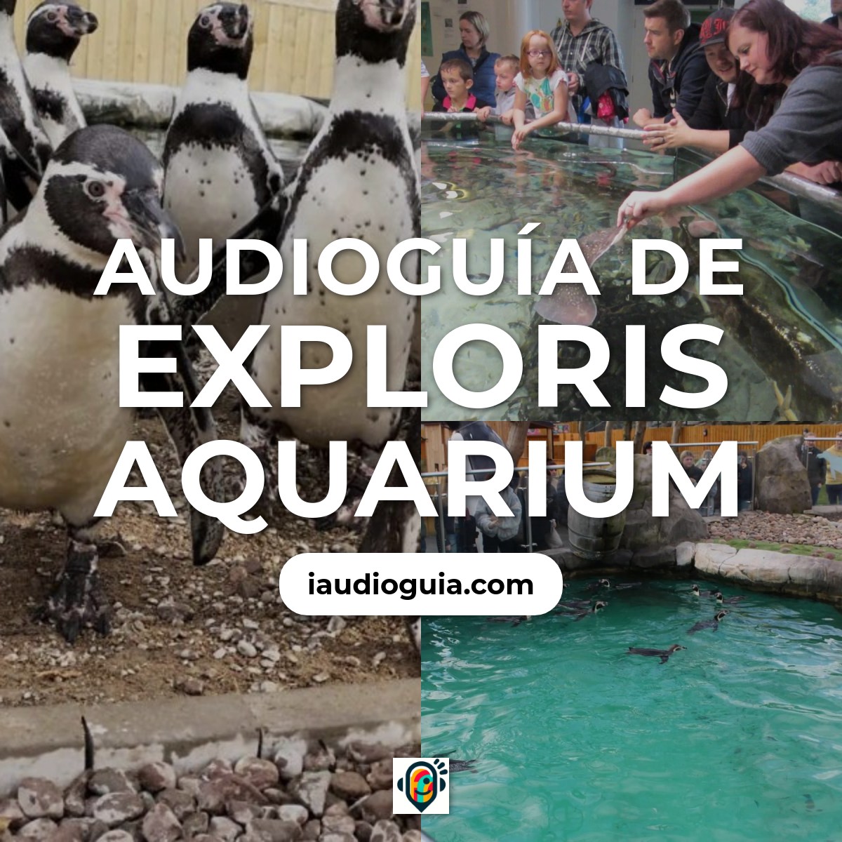 Audioguía de Exploris Aquarium