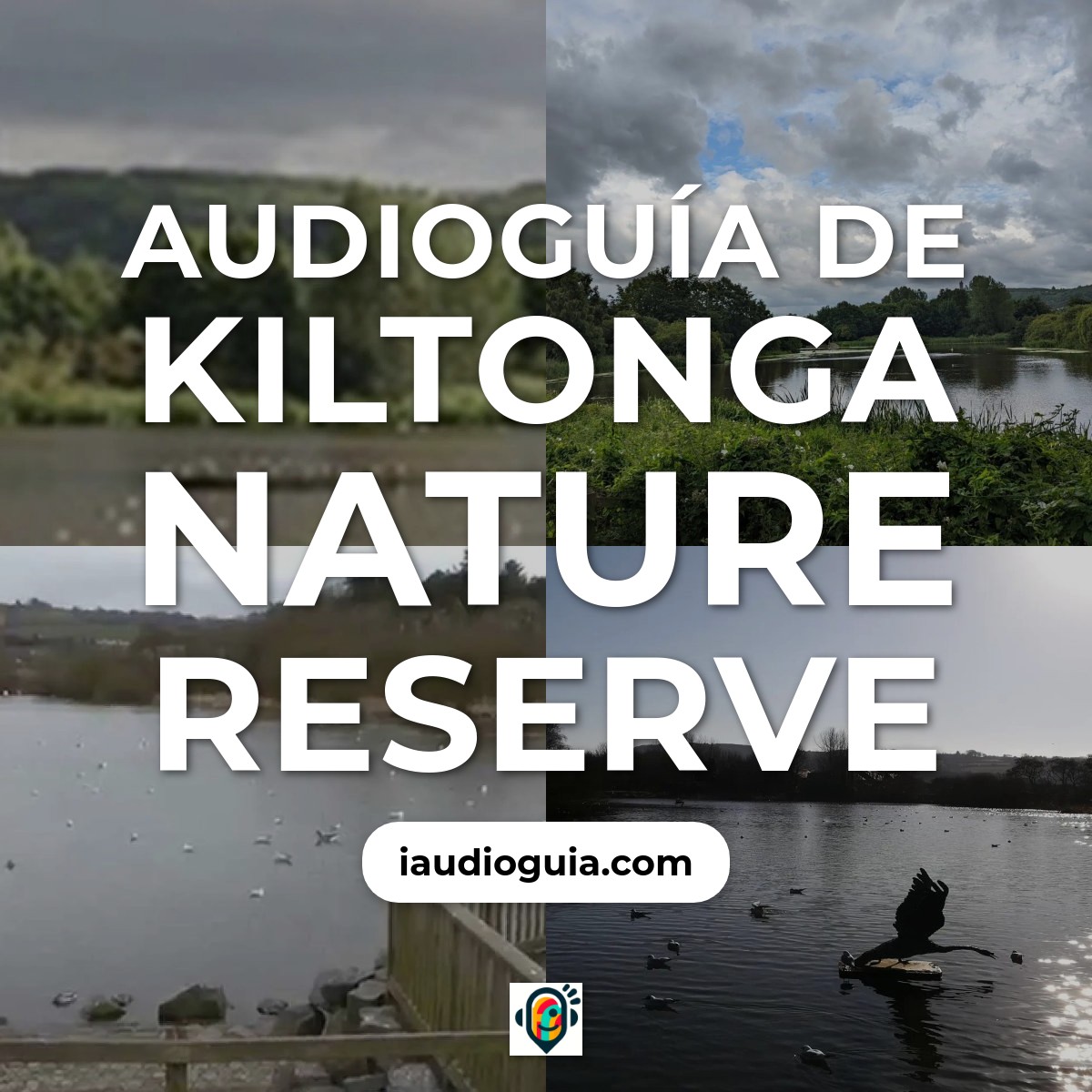 Audioguía de Kiltonga Nature Reserve