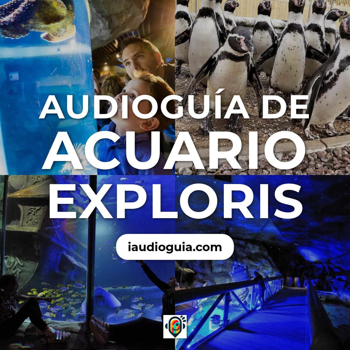 Audioguía de Exploris Aquarium