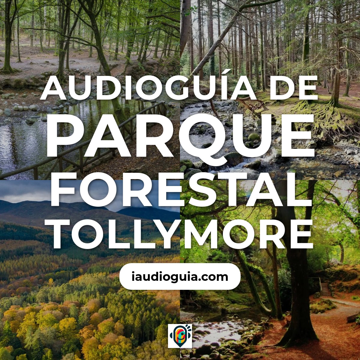 Audioguía de Tollymore Forest Park