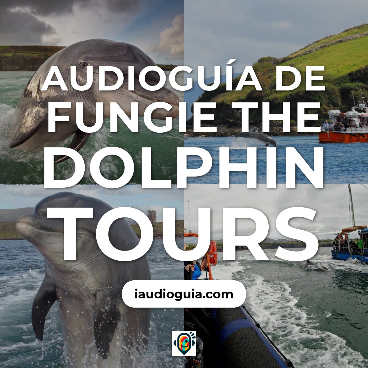 Audioguía de Fungie The Dolphin Tours