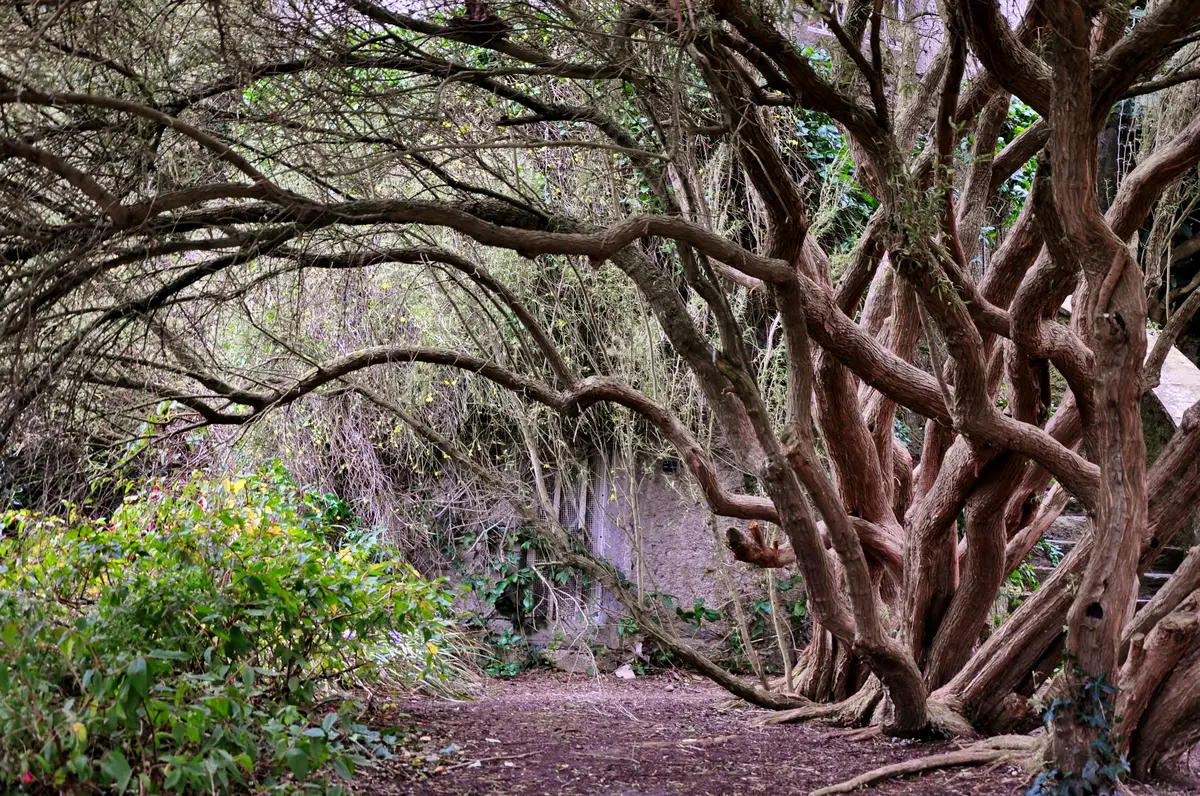Castillo de Malahide