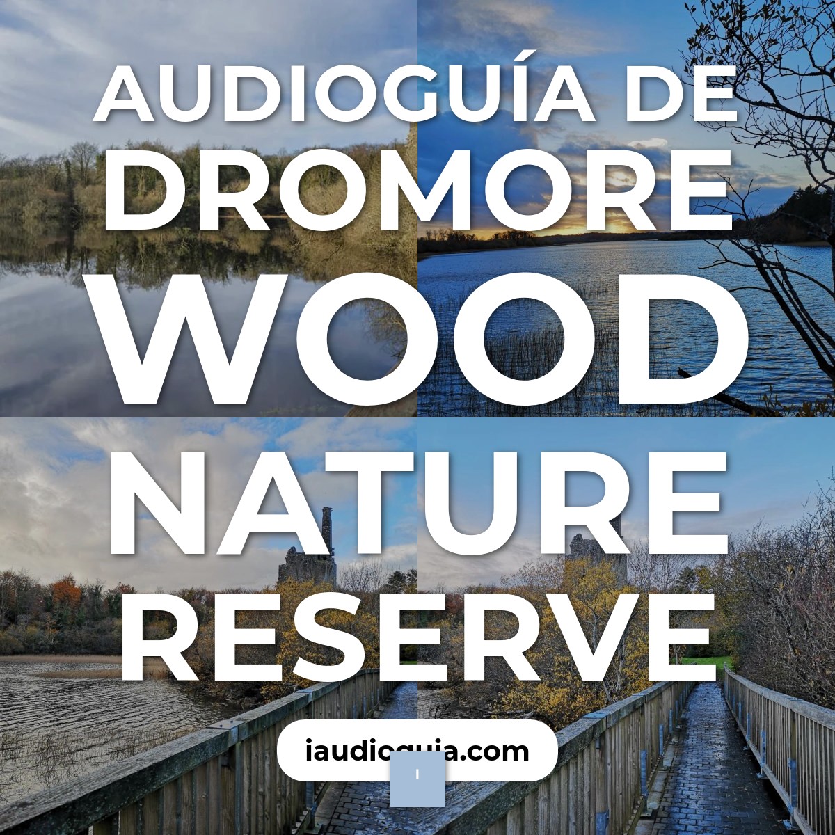 Audioguía de Dromore Wood Nature Reserve